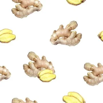 Seamless pattern with watercolor ginger root on white background, suitable for Stock Illustration