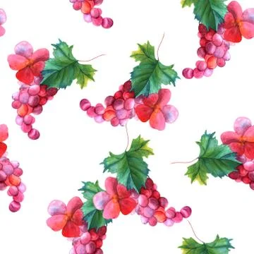 Seamless pattern with watercolor grape vine and rose Illustrazione stock