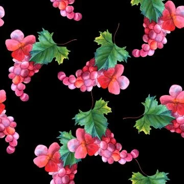 Seamless pattern with watercolor grape vine and rose Illustrazione stock