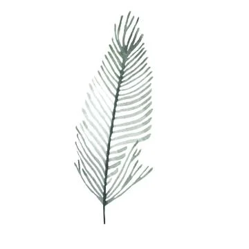 Seamless pattern with watercolor hand drawn leaves. Black and white outline Stock Illustration