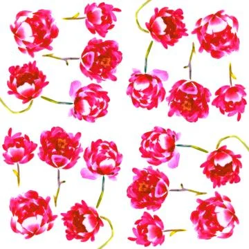Seamless pattern with watercolor hand drawn peonies isolated on white Stock Illustration