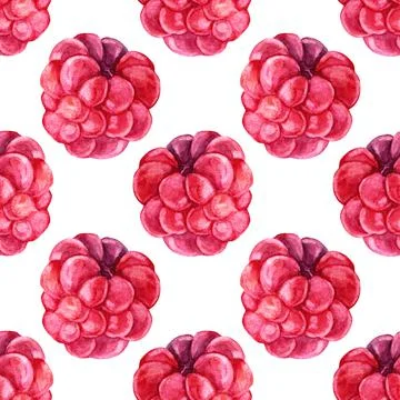 Seamless pattern watercolor hand drawn raspberries. Summer red plant berry Stock Illustration