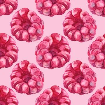 Seamless pattern watercolor hand drawn raspberries on pink. Summer red plant Stock Illustration