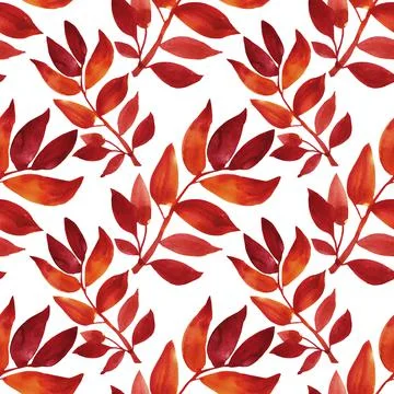 Seamless pattern watercolor hand-drawn orange and red flower chrysanthemum or Stock Illustration
