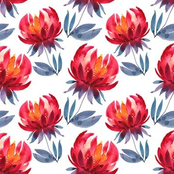 Seamless pattern watercolor hand-drawn red and orange flower chrysanthemum or Stock Illustration