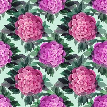 Seamless pattern watercolor hand-drawn pink and purple flower with leaves peony Stock Illustration