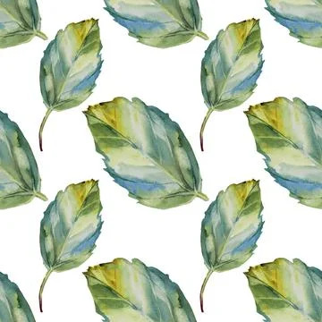 Seamless pattern watercolor hand drawn green and blue leaf on white background Stock Illustration
