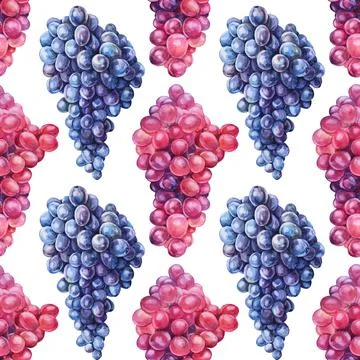 Seamless pattern watercolor hand drawn purple red blue grape isolated on white Stock Illustration