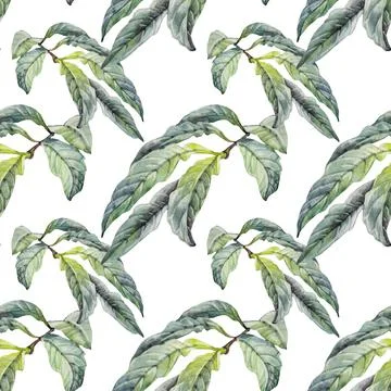 Seamless pattern watercolor hand-drawn branch with green leaves isolated on Stock Illustration