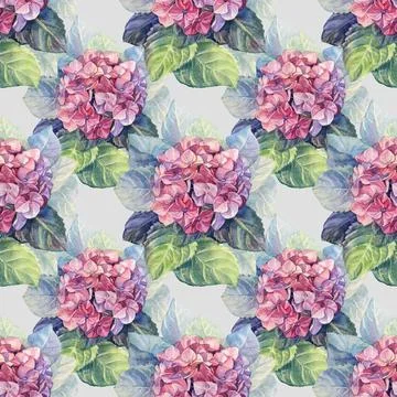 Seamless pattern watercolor hydrangea with leaves on grey background. Hand drawn Stock Illustration