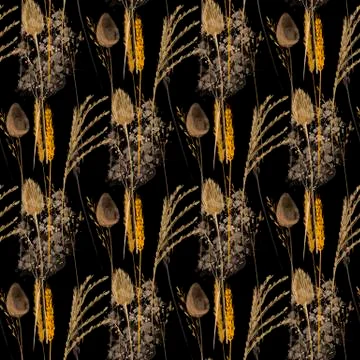 Seamless pattern watercolor illustration different spikelets isolated on black Stock Illustration