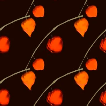 Seamless pattern watercolor illustration of physalis flowers on black Stock Illustration