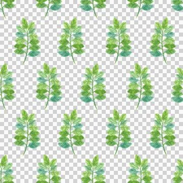 Seamless pattern with watercolor illustrations of summer plants and wildflowers. Stock Illustration