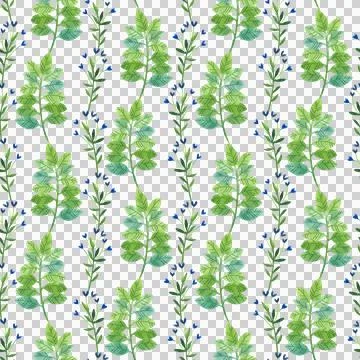 Seamless pattern with watercolor illustrations of summer plants and wildflowers. Stock Illustration