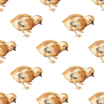Seamless pattern with watercolor image of chicken. Stock Illustration