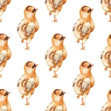 Seamless pattern with watercolor image of chicken. Stock Illustration