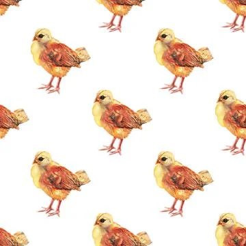 Seamless pattern with watercolor image of chicken. Stock Illustration