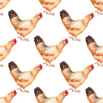 Seamless pattern with watercolor image of hen. Stock Illustration