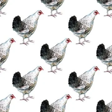 Seamless pattern with watercolor image of hen. Stock Illustration