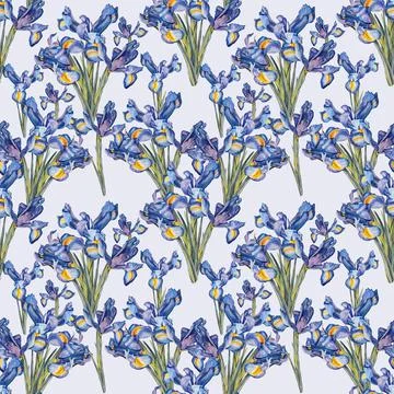 Seamless pattern watercolor iris flower on blue background. Hand-drawn botanical Stock Illustration