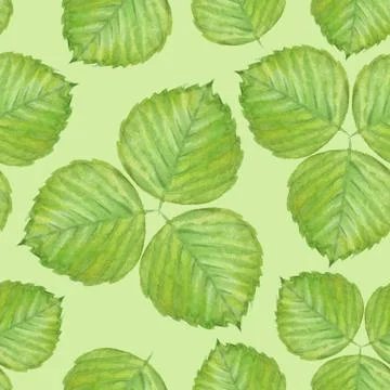 Seamless pattern with watercolor leaves Stock Illustration