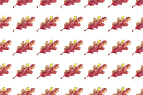 Seamless pattern watercolor oak leaf on white background. Stock Illustration