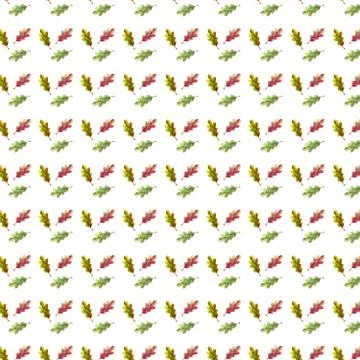 Seamless pattern watercolor oak leaf on white background. Stock Illustration