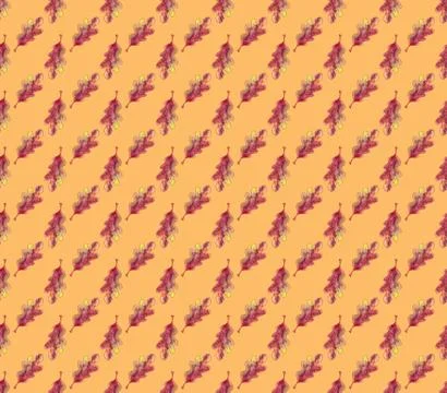 Seamless pattern watercolor oak leaf on orange background. Stock Illustration