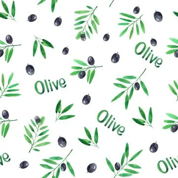 Seamless pattern with watercolor olive branches on white background.Hand draw Stock Illustration