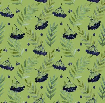 Seamless pattern with watercolor paintied elder branche, berries and leaves for Stock Illustration