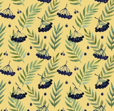 Seamless pattern with watercolor paintied elder branche, berries and leaves for Illustrazione stock