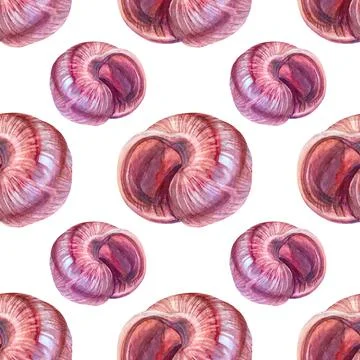 Seamless pattern watercolor pink brown sea shell with pearl isolated on white Stock Illustration
