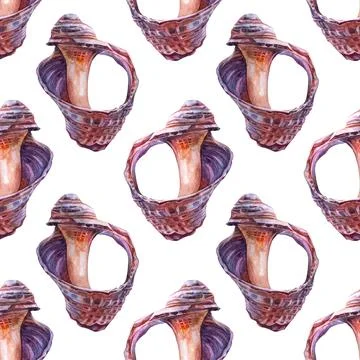 Seamless pattern watercolor pink brown destroyed sea shell isolated on white Stock Illustration