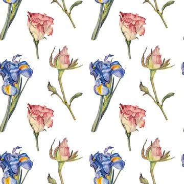 Seamless pattern watercolor pink bud rose and iris with green leaves on white Stock Illustration