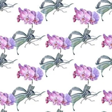 Seamless pattern watercolor pink orchid flower with green leaves and roots Stock Illustration