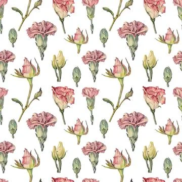 Seamless pattern watercolor pink rose bud and carnation and green leaves Stock Illustration