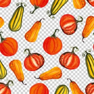 Seamless pattern of watercolor pumpkins on white background, hand painted Stock Illustration