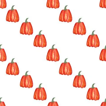 Seamless pattern of watercolor pumpkins on white background, hand painted Stock Illustration