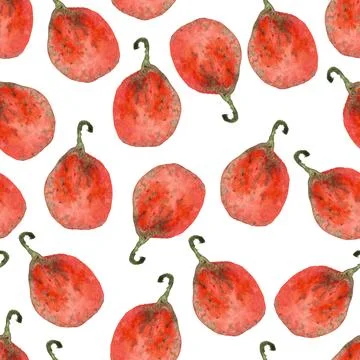 Seamless pattern of watercolor pumpkins on white background, hand painted Illustrazione stock