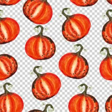 Seamless pattern of watercolor pumpkins on white background, hand painted Illustrazione stock