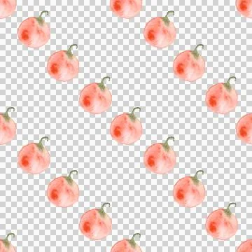 Seamless pattern of watercolor pumpkins on white background, hand painted Stock Illustration