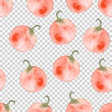 Seamless pattern of watercolor pumpkins on white background, hand painted Stock Illustration