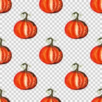 Seamless pattern of watercolor pumpkins on white background, hand painted Stock Illustration