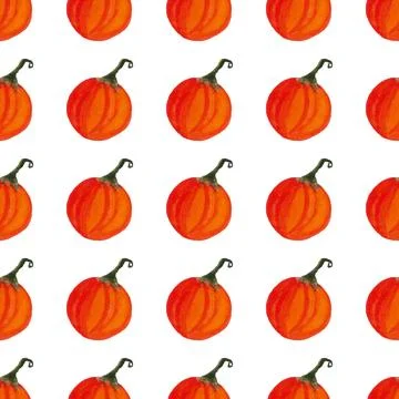Seamless pattern of watercolor pumpkins on white background, hand painted Stock Illustration