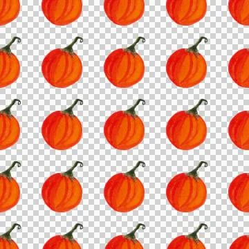 Seamless pattern of watercolor pumpkins on white background, hand painted Stock Illustration