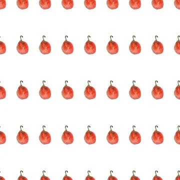 Seamless pattern of watercolor pumpkins on white background, hand painted Stock Illustration