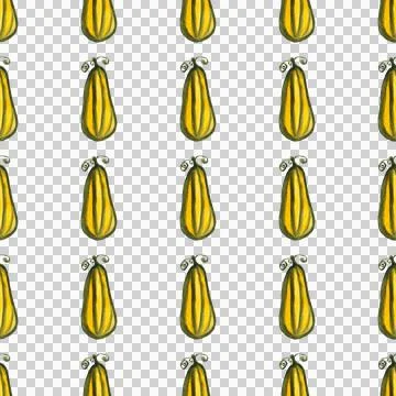 Seamless pattern of watercolor pumpkins on white background, hand painted Stock Illustration