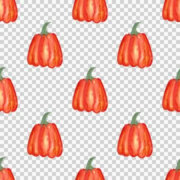 Seamless pattern of watercolor pumpkins on white background, hand painted Stock Illustration