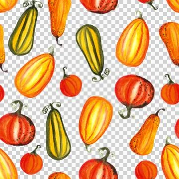 Seamless pattern of watercolor pumpkins on white background, hand painted Stock Illustration