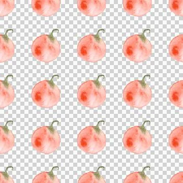 Seamless pattern of watercolor pumpkins on white background, hand painted Stock Illustration
